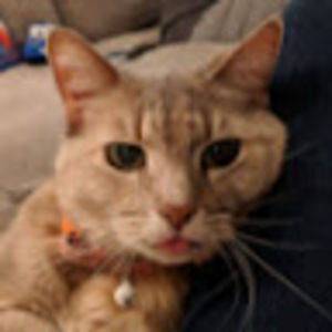 Meet your Posher, Catherine